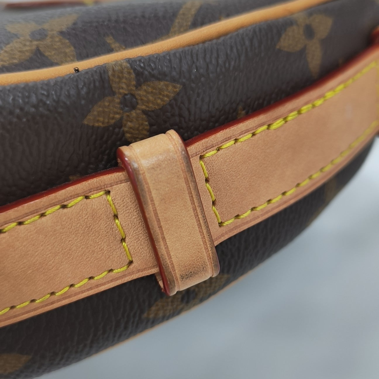 CROISSANT Monogram Coated Canvas Brown