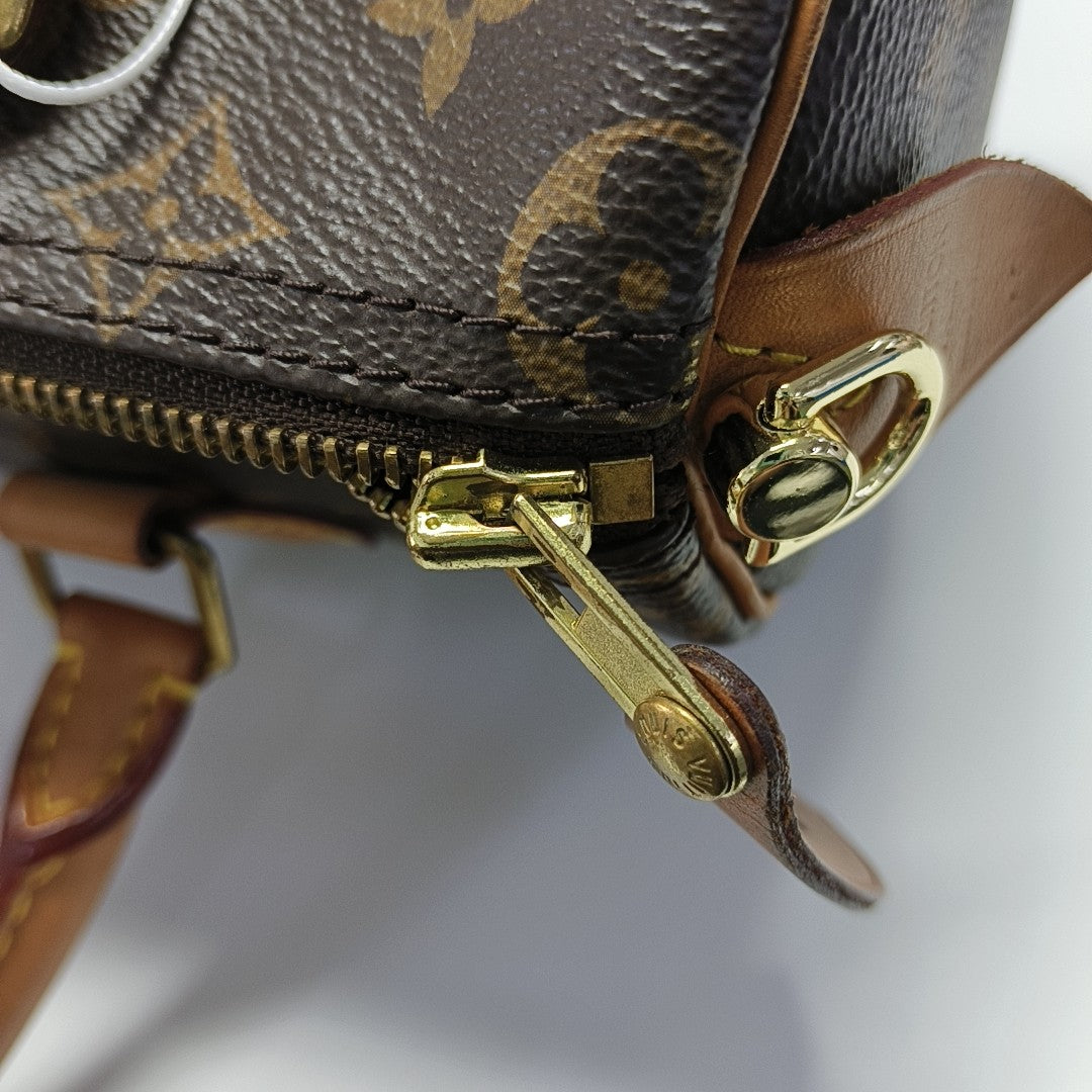 SPEEDY 25 Monogram Coated Canvas Brown