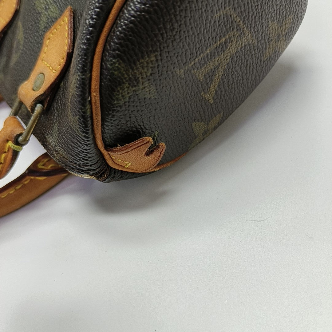SPEEDY Monogram Coated Canvas Brown