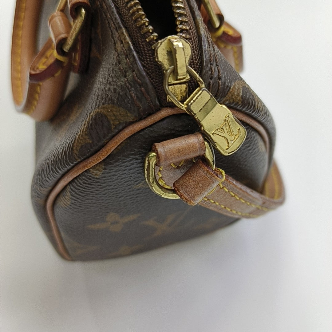 SPEEDY Nano Monogram Coated Canvas Brown