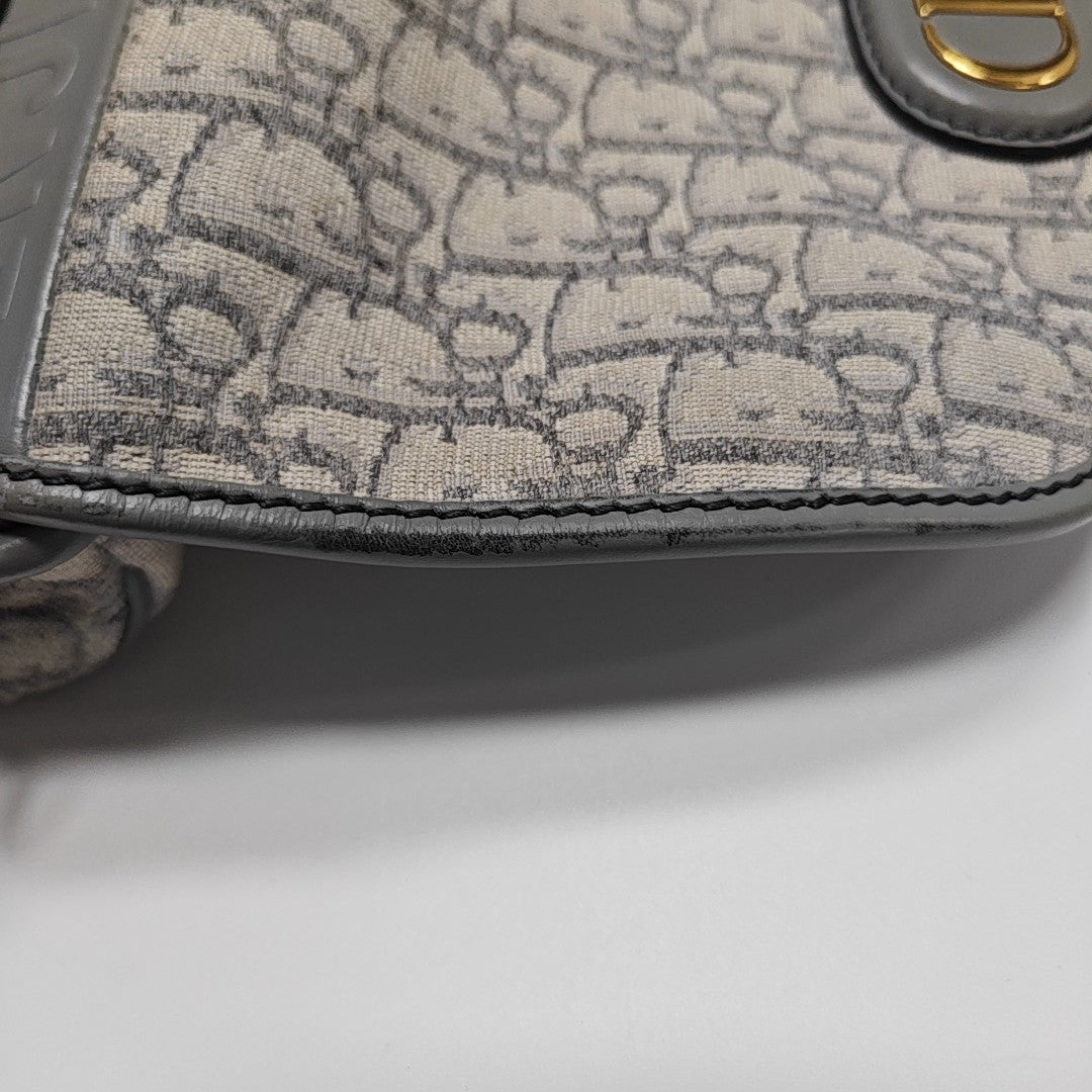 Bobby Medium Oblique Canvas Gray