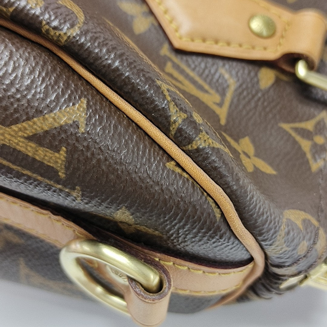 SPEEDY 25 Monogram Coated Canvas Brown