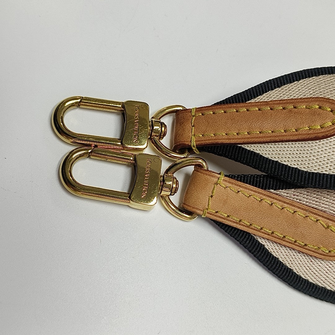 SPEEDY 20 Monogram Coated Canvas Brown