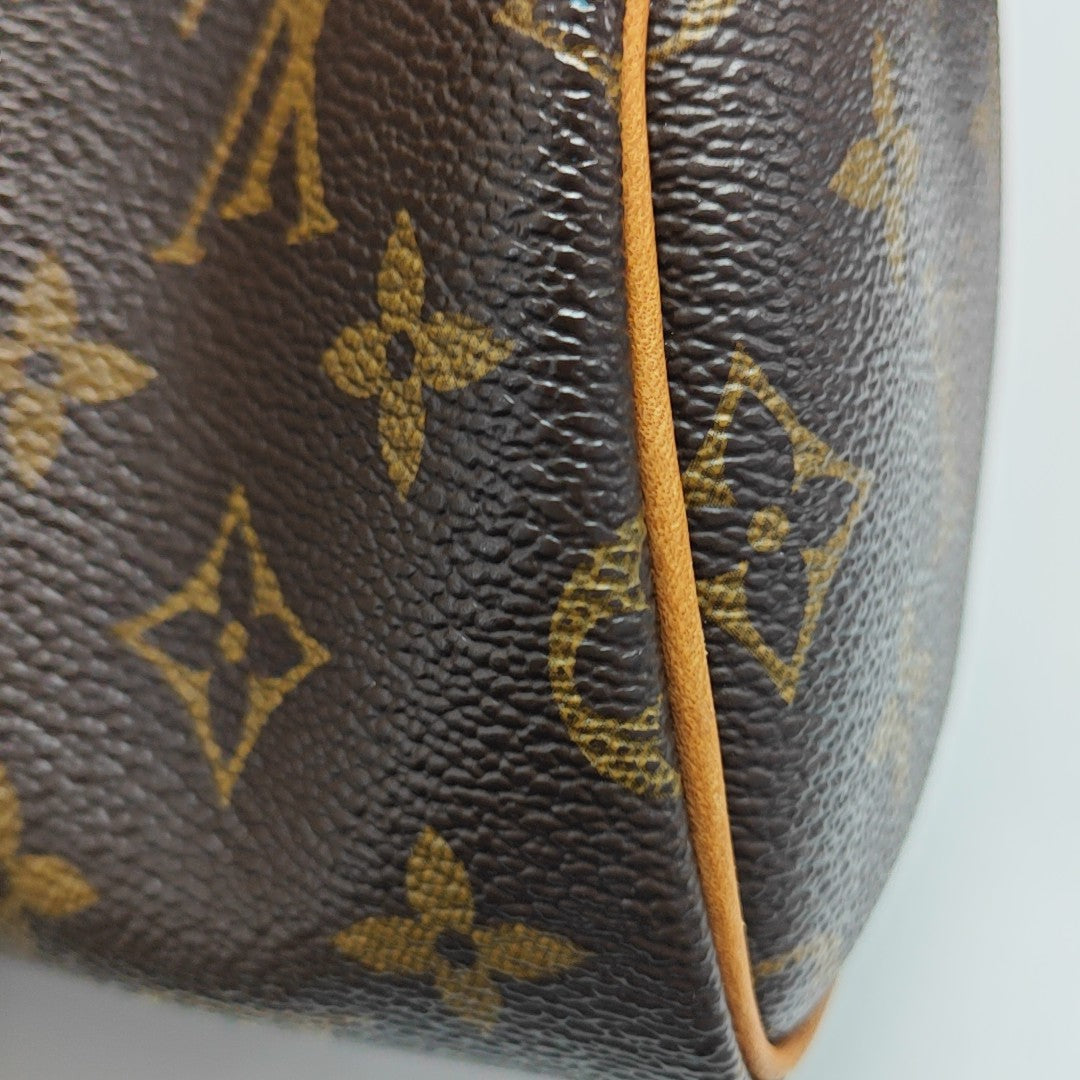 SPEEDY Nano Monogram Coated Canvas Brown