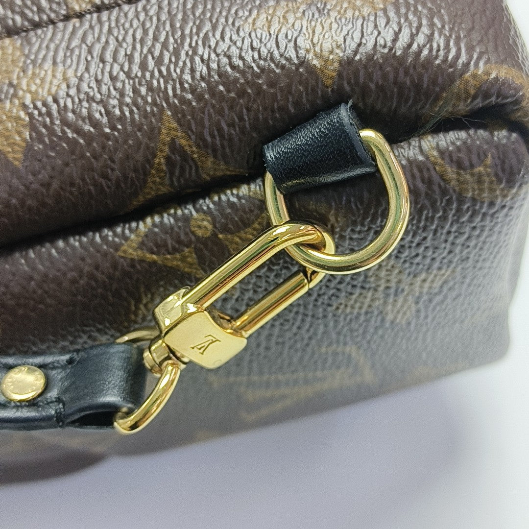 PALM SPRINGS Mini Monogram Coated Canvas Brown