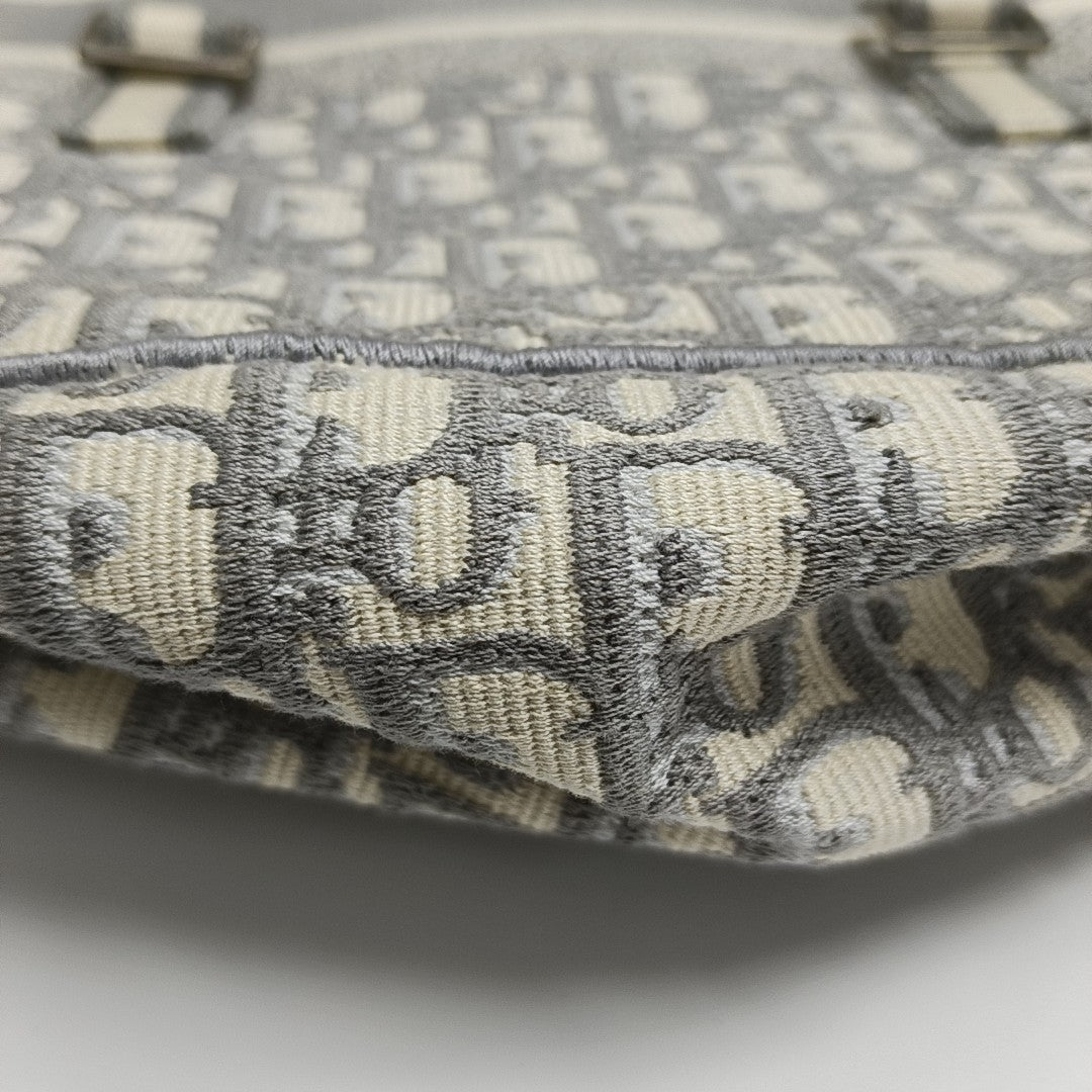 Diorcamp Large Oblique Canvas Gray