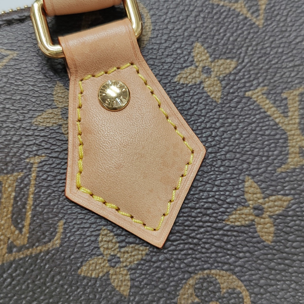 SPEEDY 20 Monogram Coated Canvas Brown