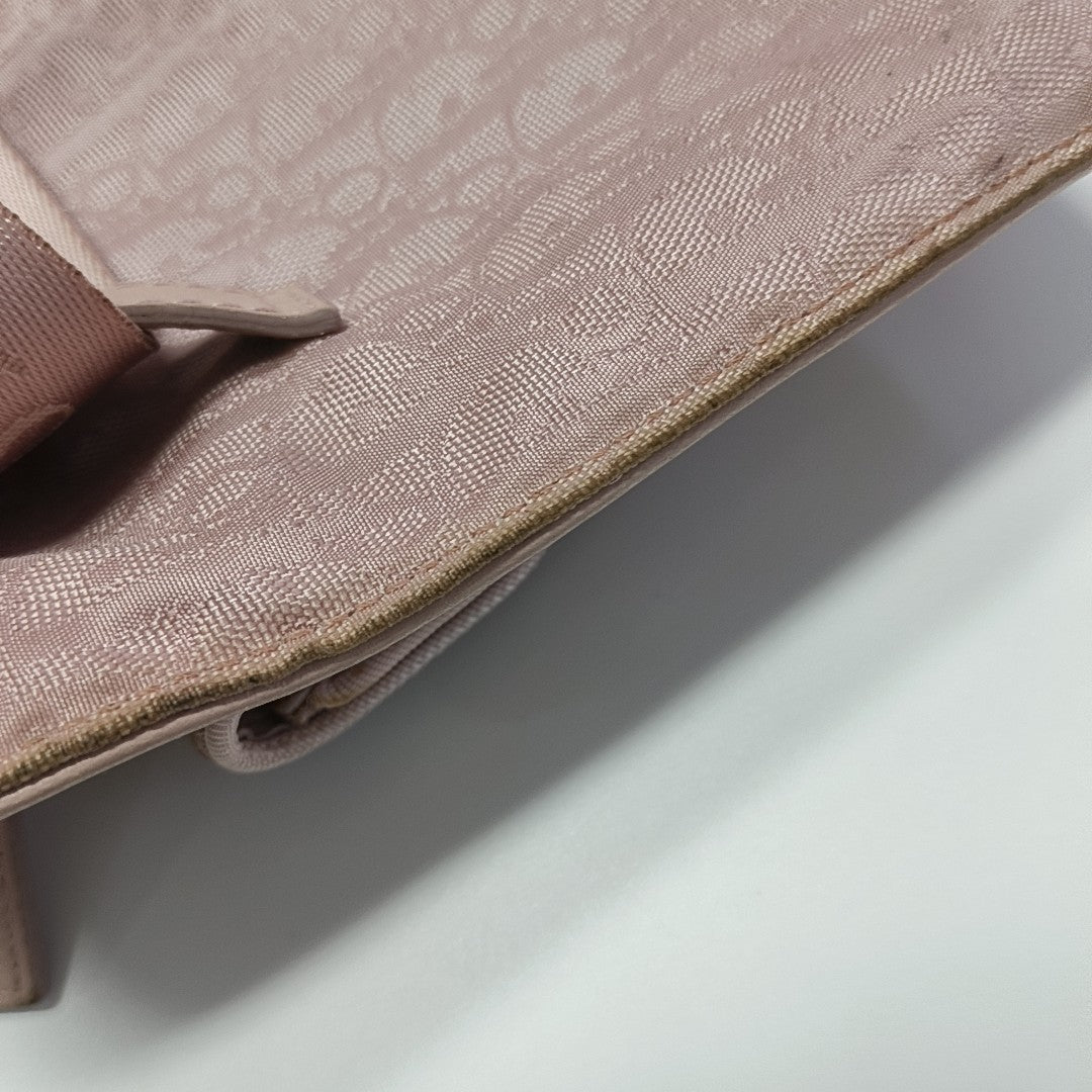 Oblique Canvas Belt Bag Pink