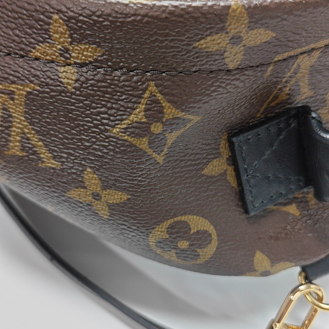 PALM SPRINGS Mini Monogram Coated Canvas Brown