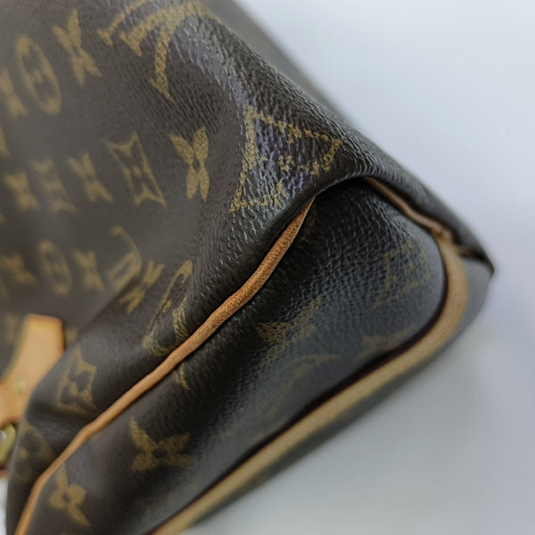 SPEEDY 25 Monogram Coated Canvas Brown