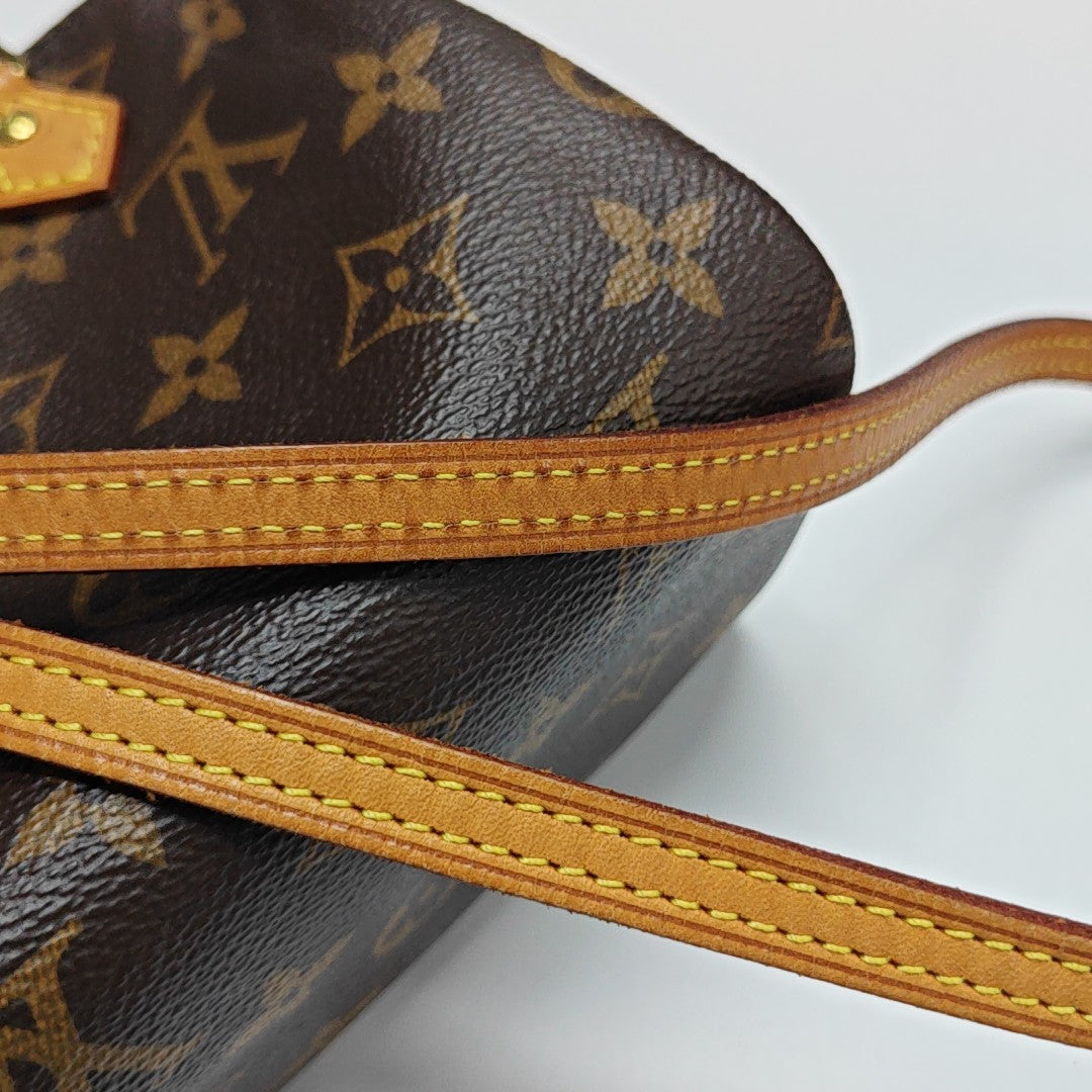 SPEEDY Nano Monogram Coated Canvas Brown
