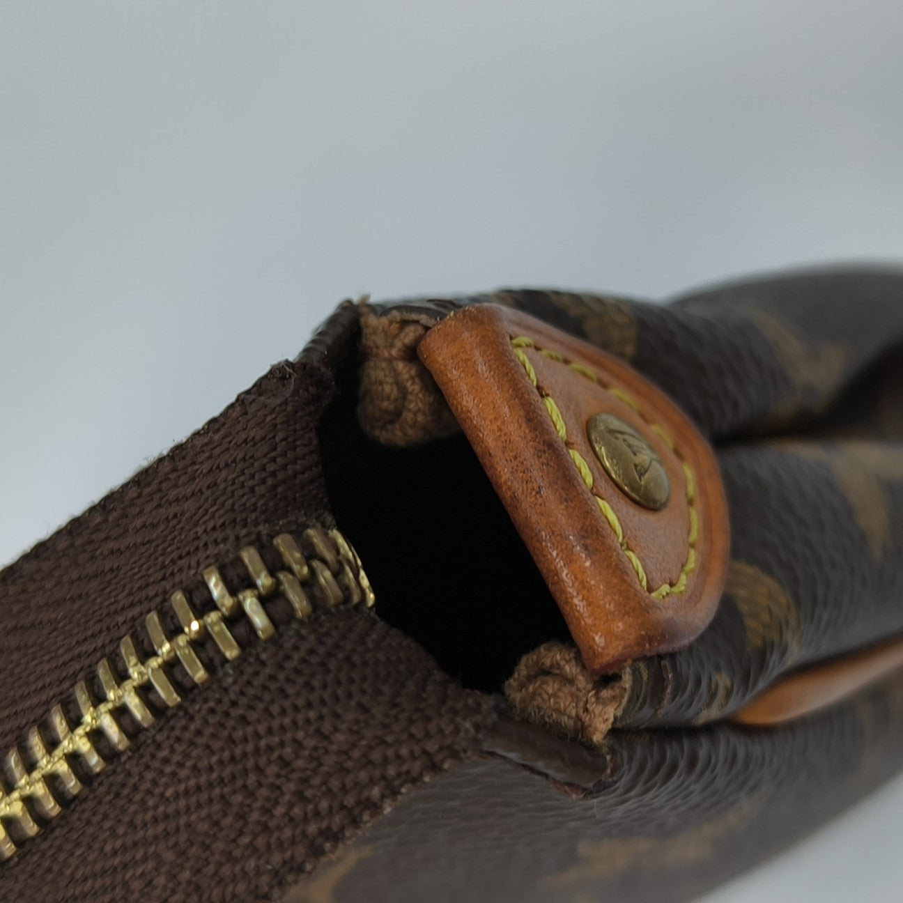 EVA Monogram Coated Canvas Brown