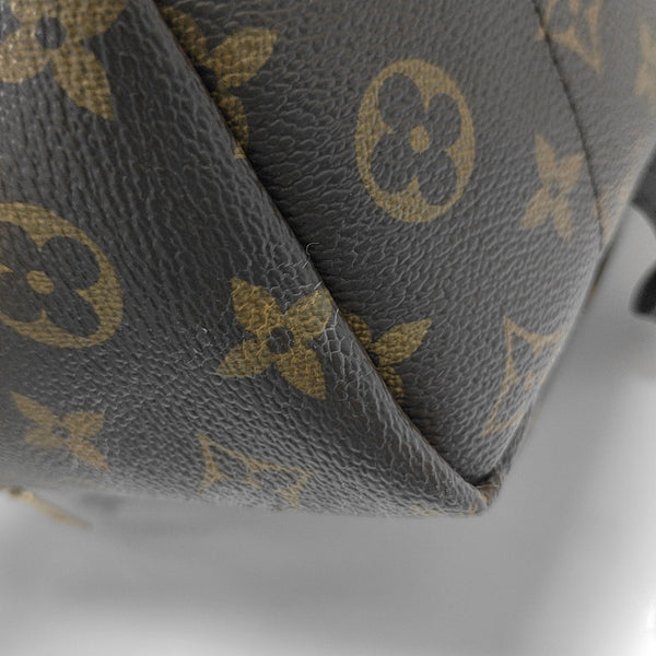 PALM SPRINGS PM Monogram Coated Canvas Brown