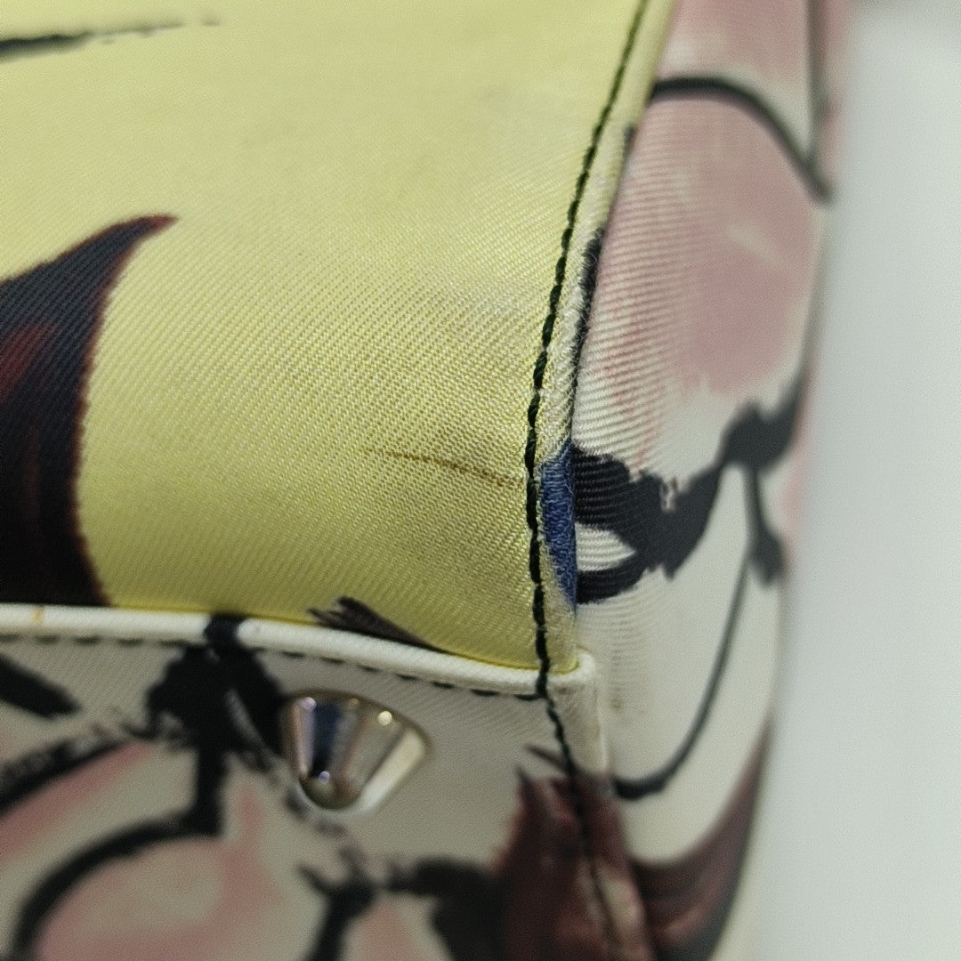 Lady Dior Large Canvas Multicolor