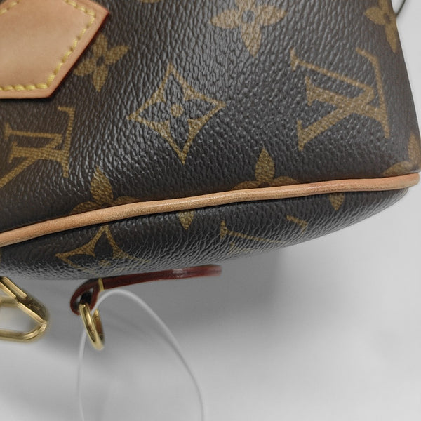 SPEEDY 20 Monogram Coated Canvas Brown