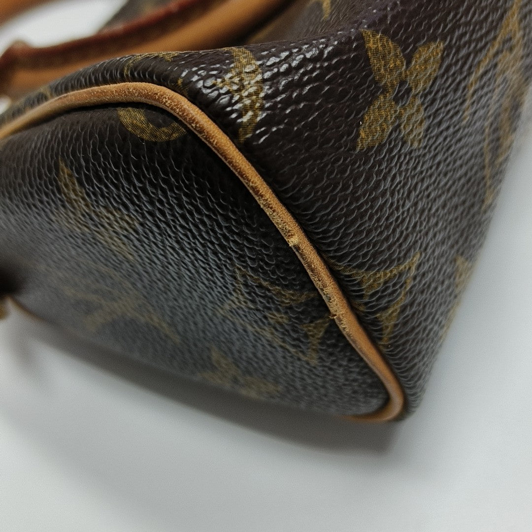 SPEEDY Nano Monogram Coated Canvas Brown
