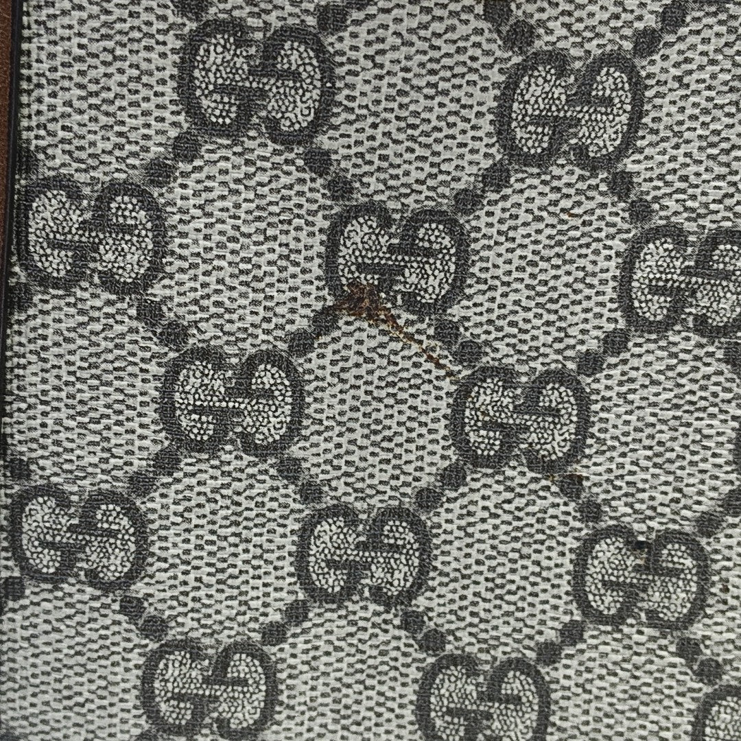 Padlock Small Monogram Coated Canvas Beige