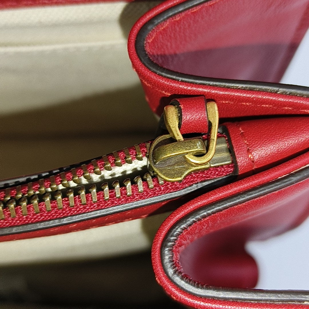 Dionysus Medium Calfskin Red