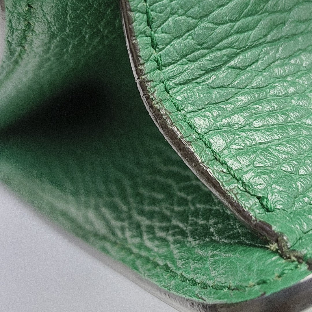 Dionysus Mini Calfskin Green