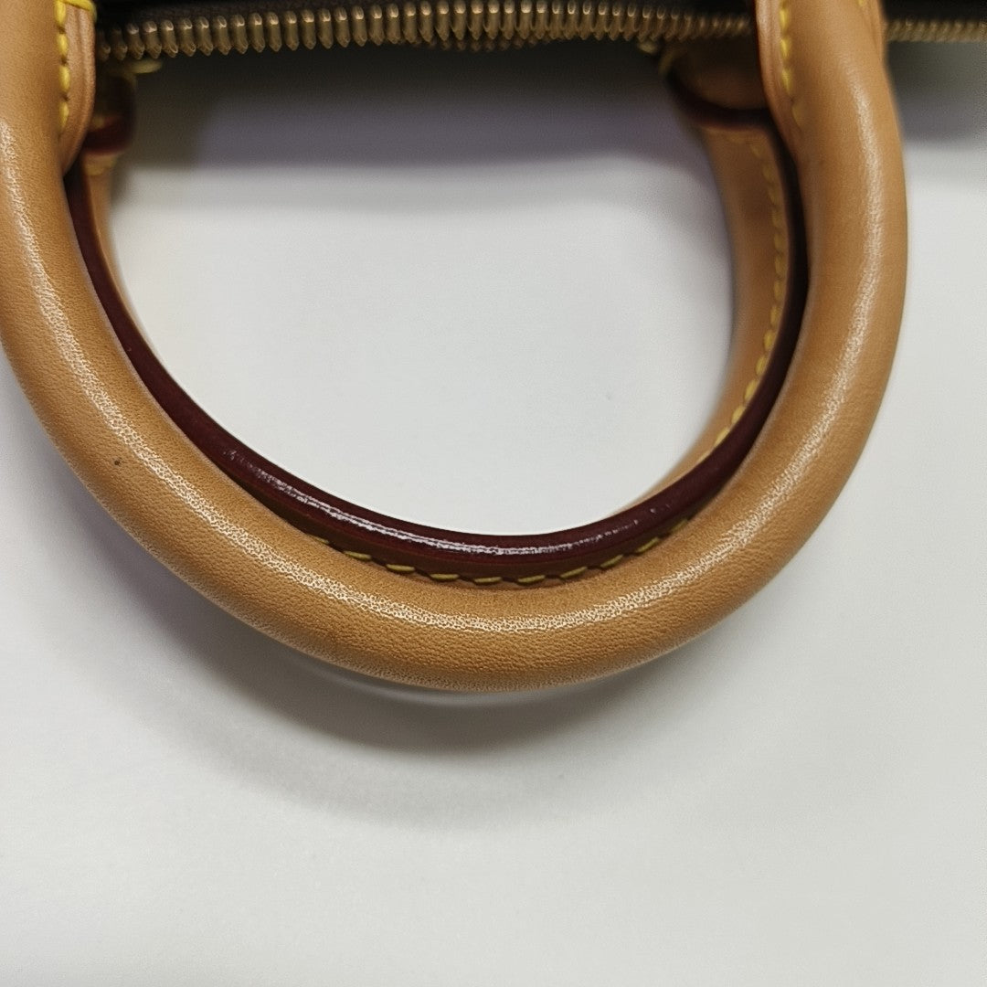 SPEEDY 25 Monogram Coated Canvas Brown