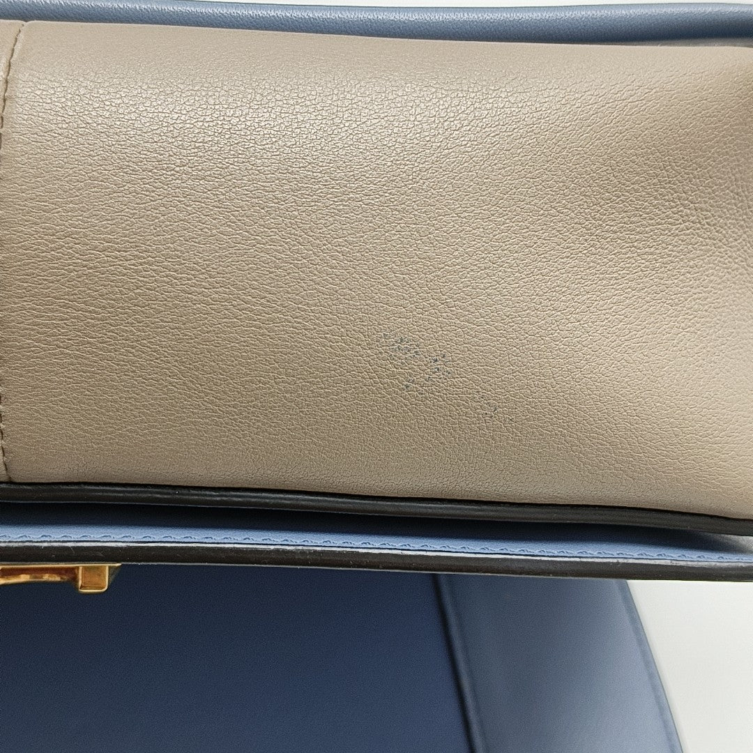 FRAME Medium Calfskin Multicolor