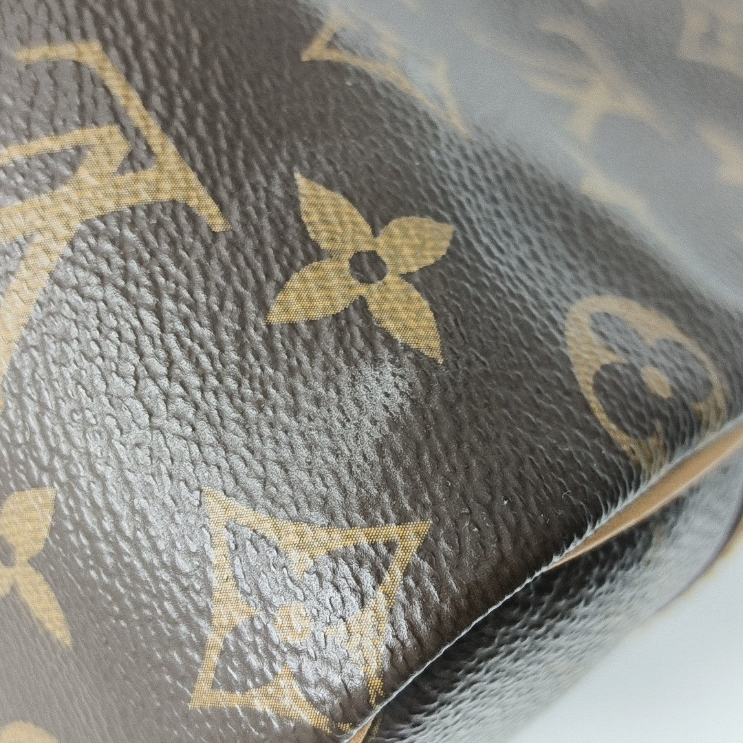 SPEEDY 25 Monogram Coated Canvas Brown