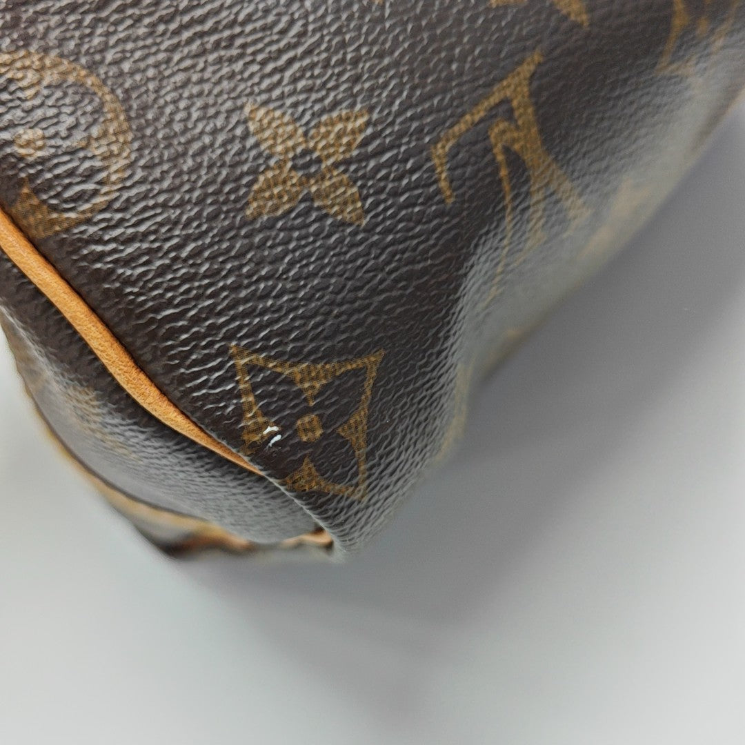 SPEEDY 25 Monogram Coated Canvas Brown