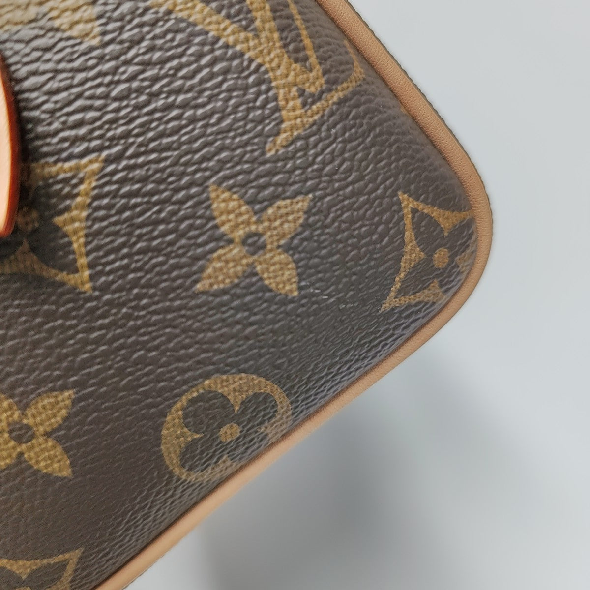 SPEEDY 20 Monogram Coated Canvas Brown