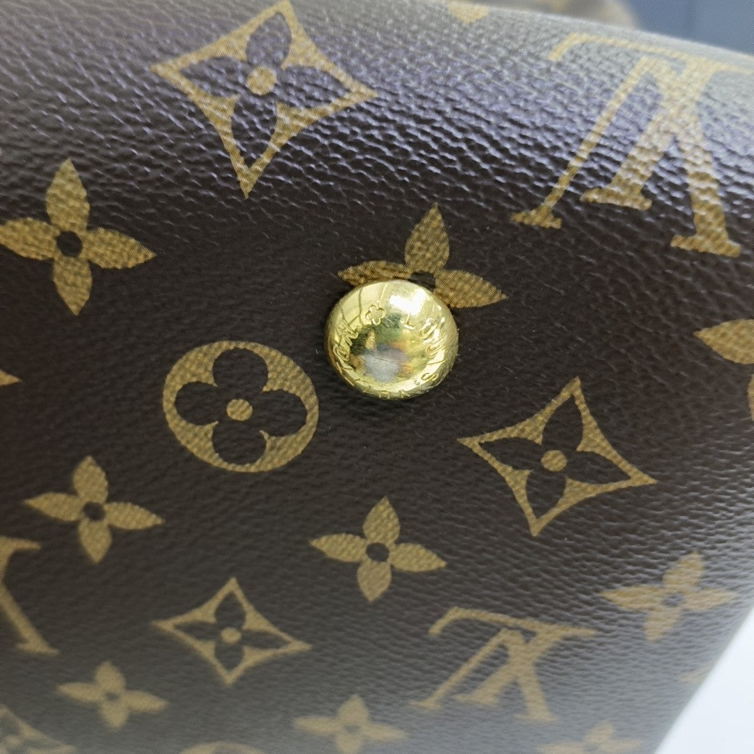 CARRYALL MM Monogram Coated Canvas Brown