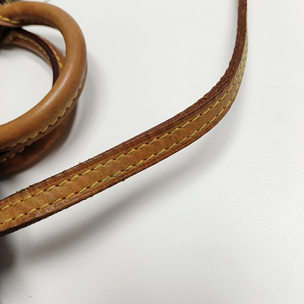 SPEEDY Nano Monogram Coated Canvas Brown