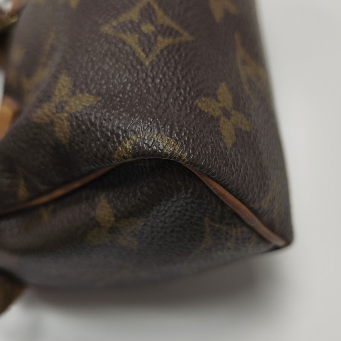SPEEDY Nano Monogram Coated Canvas Brown