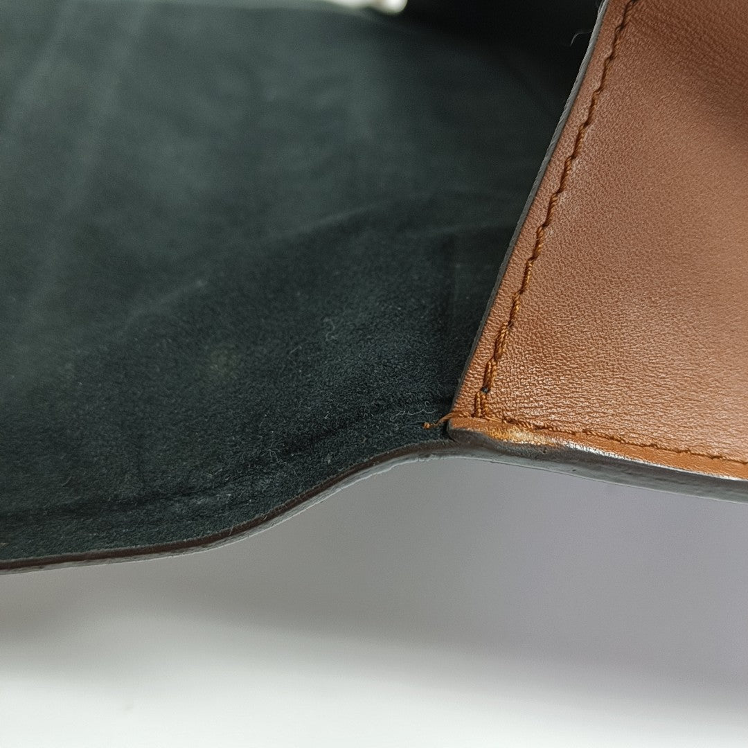 DAUPHINE MM Monogram Coated Canvas Brown