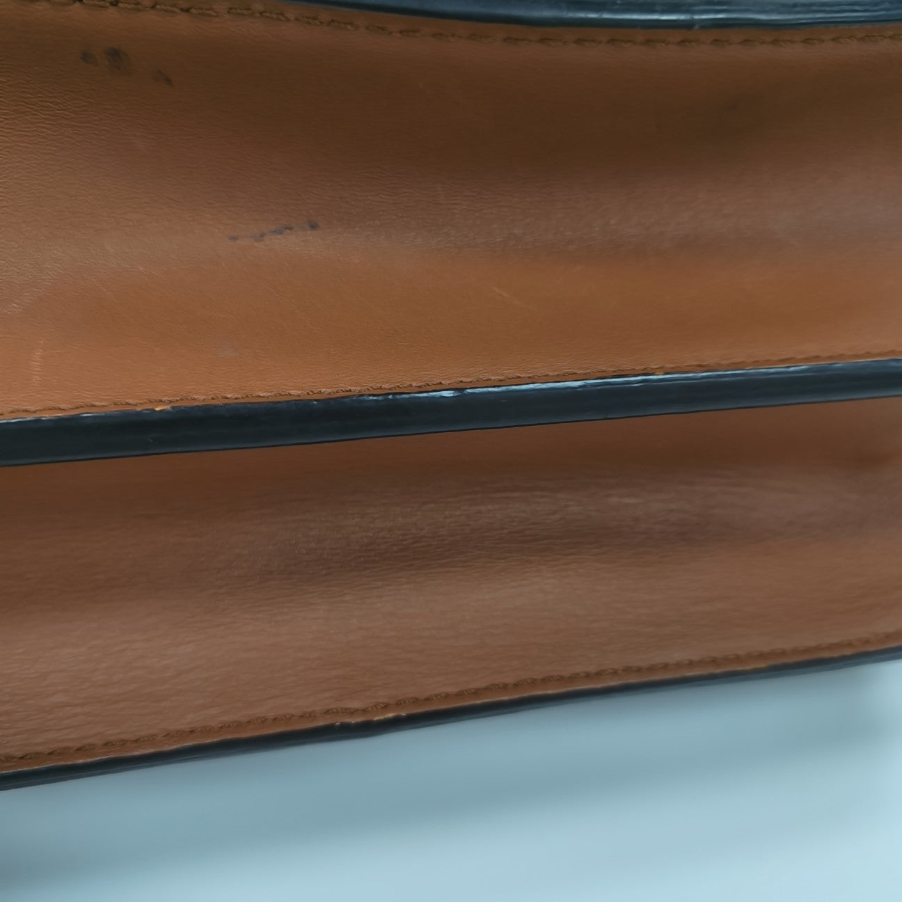 DAUPHINE MM Monogram Coated Canvas Brown