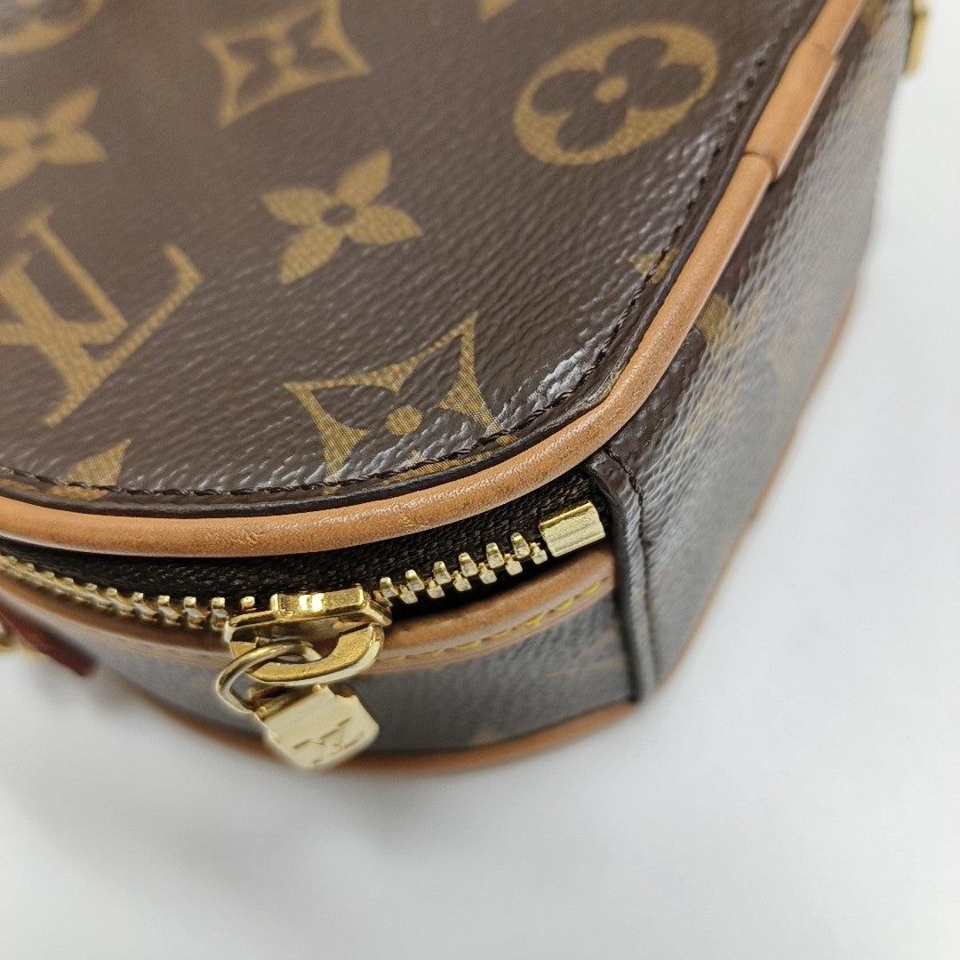 BOITE CHAPEAU Mini Monogram Coated Canvas Brown