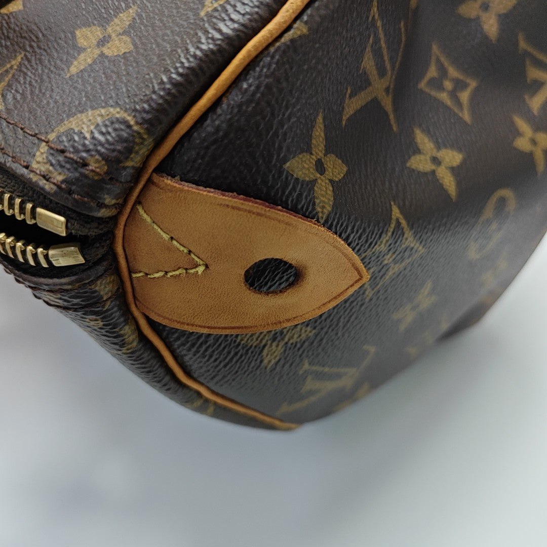 SPEEDY 25 Monogram Coated Canvas Brown
