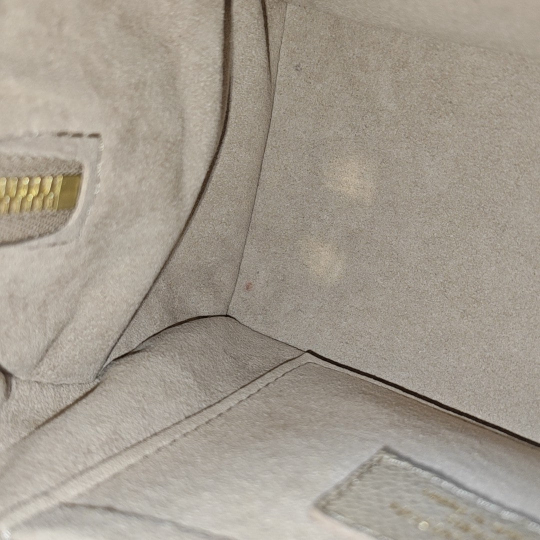 SPEEDY 20 Monogram Calfskin Gray