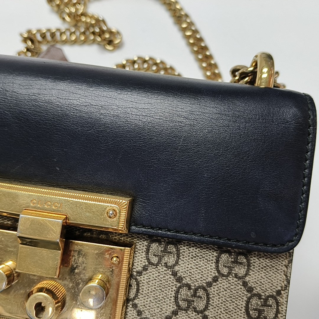 Padlock Small Monogram Coated Canvas Multicolor