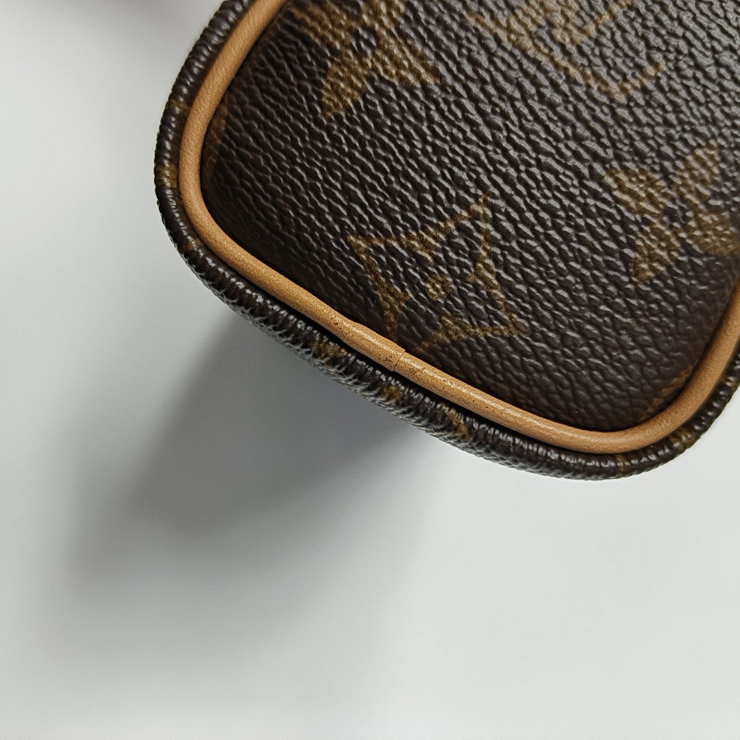 SPEEDY Nano Monogram Coated Canvas Brown