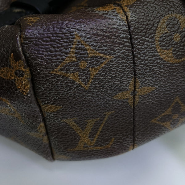 Monogram Coated Canvas Backpack Brown