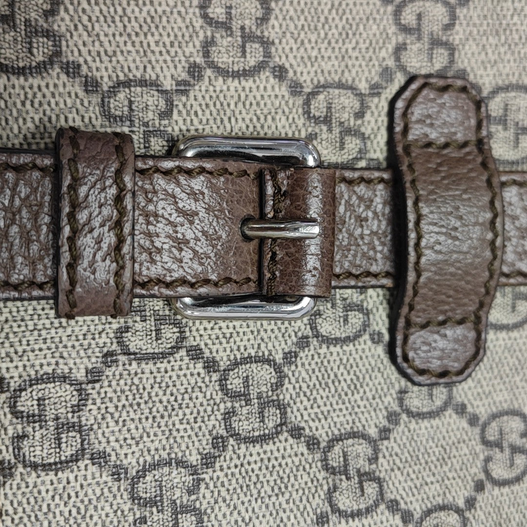 Monogram Coated Canvas Crossbody Bag Brown