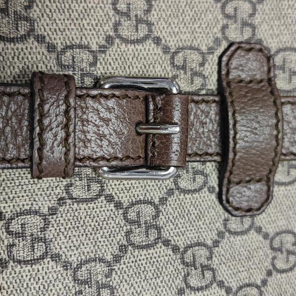 Monogram Coated Canvas Crossbody Bag Brown