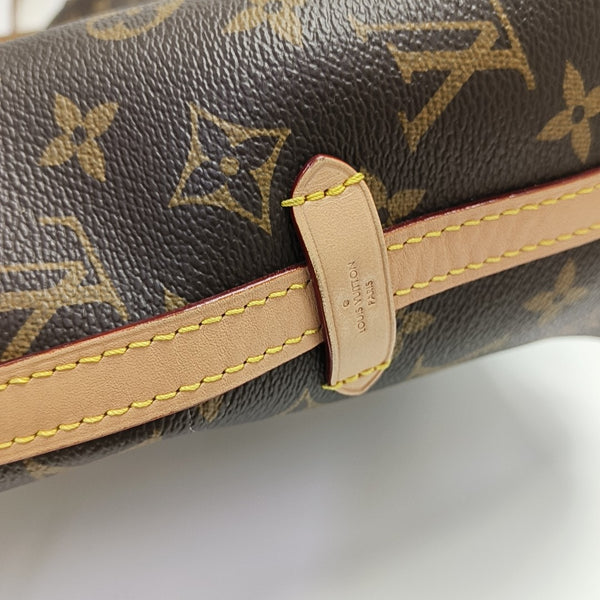 CARRYALL PM Monogram Coated Canvas Brown