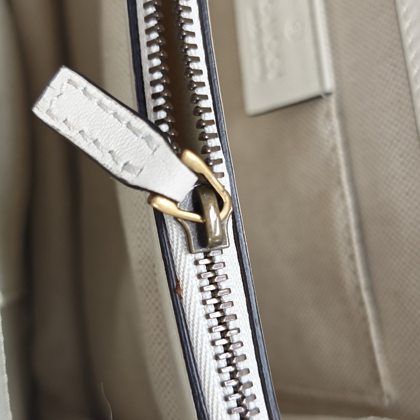 Dionysus Medium Calfskin Multicolor