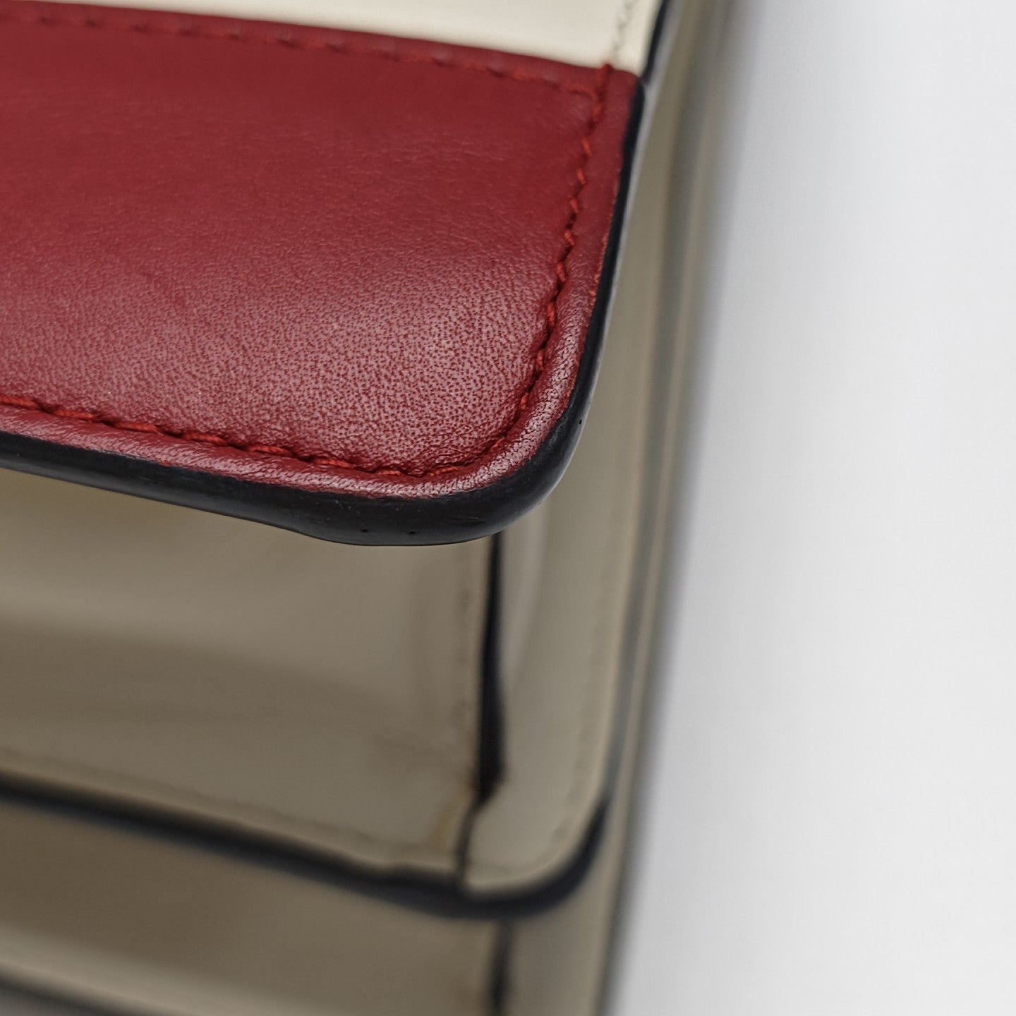 Dionysus Medium Calfskin Multicolor
