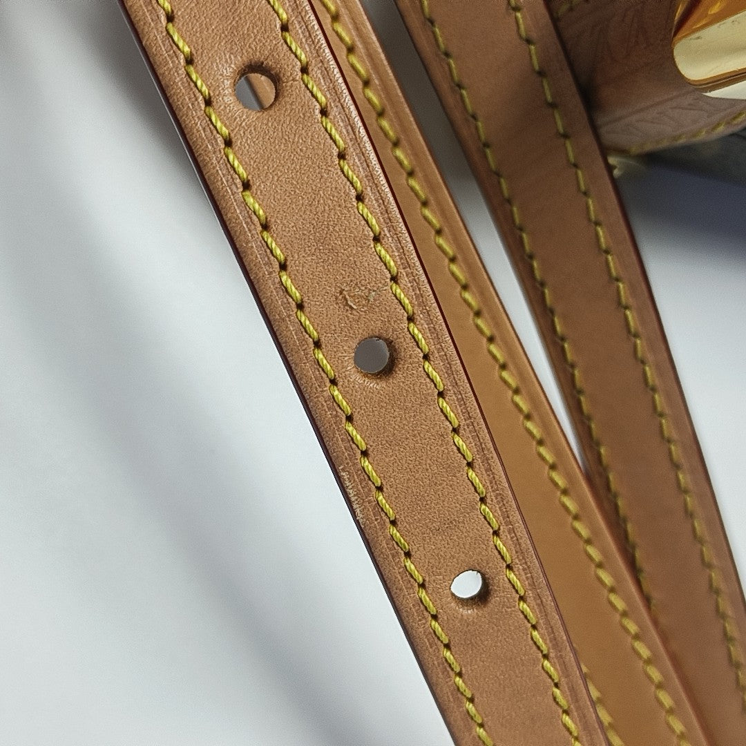 SIDE TRUNK PM Monogram Coated Canvas Brown