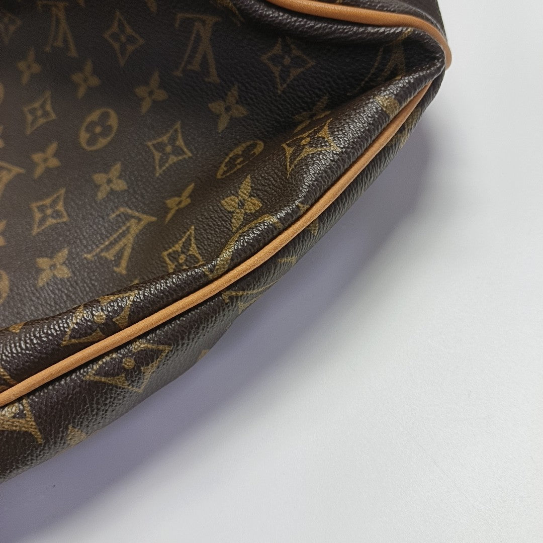 DELIGHTFUL Monogram Coated Canvas Brown