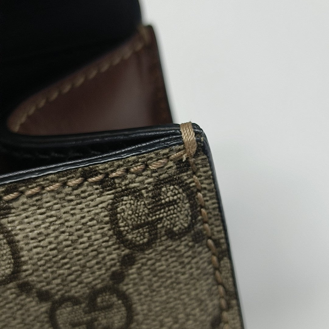 Padlock Small Monogram Coated Canvas Multicolor