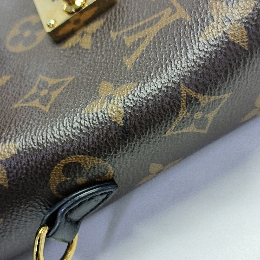 CAMERA BOX Monogram Coated Canvas Brown