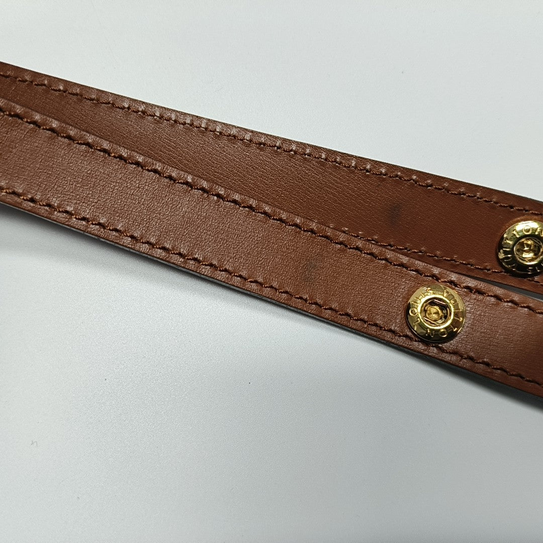 DAUPHINE MM Monogram Coated Canvas Brown