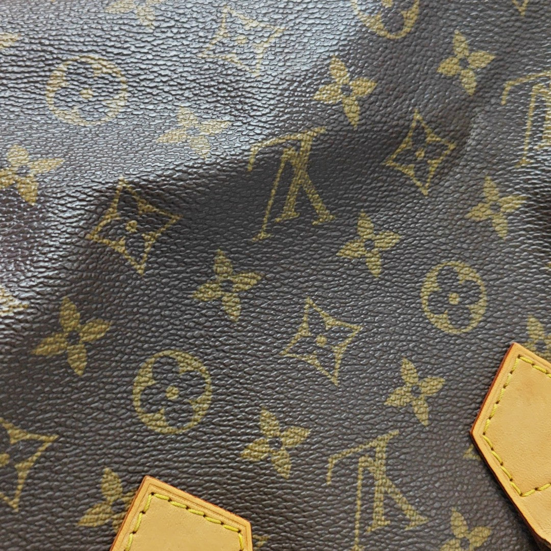 SPEEDY 25 Monogram Coated Canvas Brown